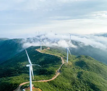 Combustibles renovables.