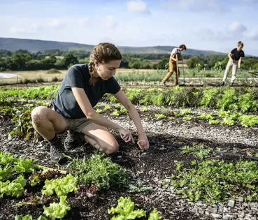 ¿Qué es la agricultura regenerativa?