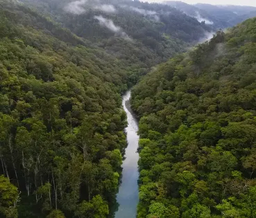 Bosques para recibir el otoño